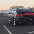 قطع دوج