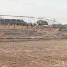 تربة دفان دفنية مجانا للي يحتاجها