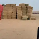 برسيم صافي مخزن