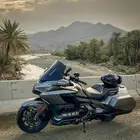 قولدوينج 2018
