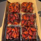صفري حبة كبير