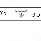 للبيع لوحه مميزه ثنائي