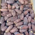 تمر مجدول فاخر للبيع