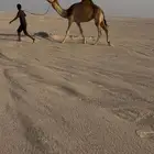 للبيع ضروبه