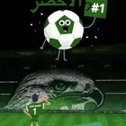 خصم خاص بمناسبة تأهيل المنتخب