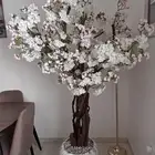 شجرة زينة