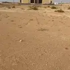 ارض للبيع في حي الخير مخطط ب قبل الشعيب مساحة 625
