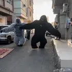 افتتاح محلات