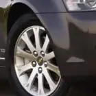 جنوط كابرس