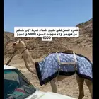 قعود