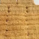 علف دخن للبيع