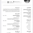 تصميم سيرة ذاتية (CV) احترافية ATS وتصميم ملف لنكد إن