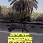 مهر بالدمام