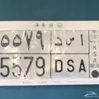 للبيع لوحه اوراقها جاهزه