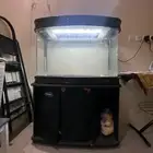 حوض سمكك للبيع عرضضض خاصصص