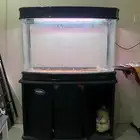 للبيع حوض سمك عررضضض خاصصص الحقق