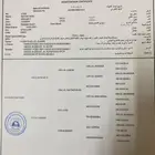 حصان عربي ورق