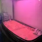 للبيع حوض سمك