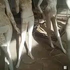 منكانات للبيع
