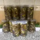 مكدوس شغل بيت للبيع