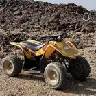 دبابات 2 سويدي الانواع المرغوبه