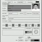 شهاده ايلتس نضاميه