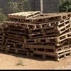 طبليات للبيع الهفوف خط قطر