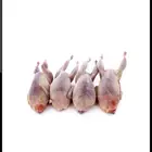 سمان بلدي جاهز للطبخ