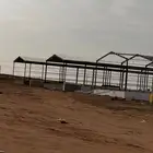 مقاول حظاير الدواجن