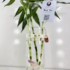 سمك الفايتر