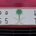 للبيع لوحة مميزة خصوصي ثلاثي مكرر ( ك و ط 555)