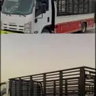 دينه