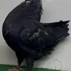 تم البيع خارج الموقع