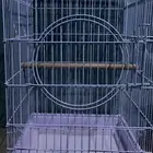 قفص