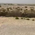 ارض للبيع في بقيق