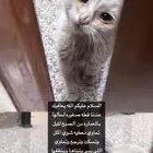 الحزن واضح بعيونه احد يكسب فيه اجر ويعالجه