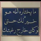 ابحث عن قطط للتبني