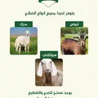 تصميم لوقو وغيره