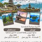 تأشيرة سياحية إندونيسيا