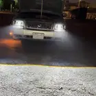 فرد فكتوريا مديل 2010