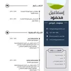 تصميم سيره ذاتيه CV