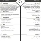 سيرة ذاتيه احترافية