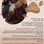 قط لطيف يبحث عن منزل دافئ