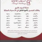 وظايف السيف غالري