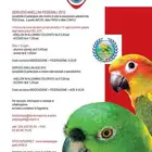 معلومات عن الطيور الاوربية AIAP