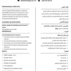 سيره ذاتيه لو البيانات قالي ازيد وأعدل الصياغه ادعموني