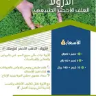 علف ازولا (الاحساء)