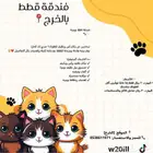 فندقة قطط بالخرج