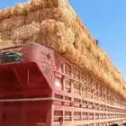 الدفع عند الاستلام