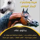 منتجع و مربط عز نجد